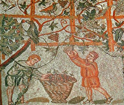 Mozaika znázorňující sběr vína.